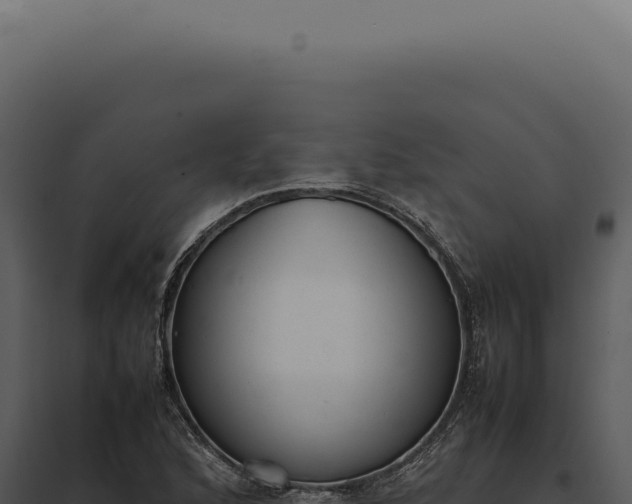 X0000097981168200804011738