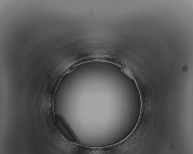 X0000097981169200804011738