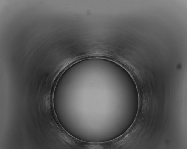 X0000097981170200804011738
