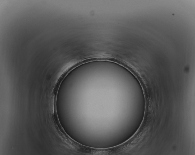 X0000097981171200804011738