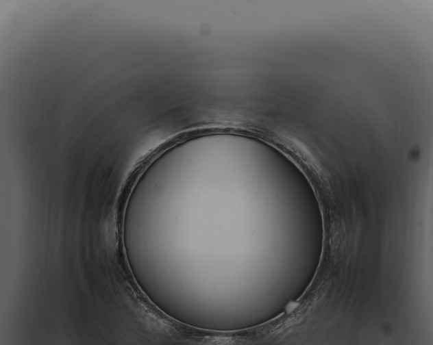 X0000097981172200804011738