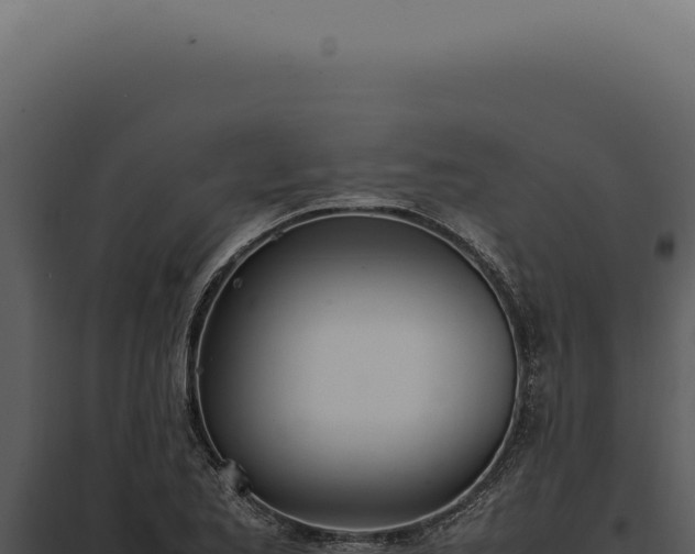 X0000097981173200804011738