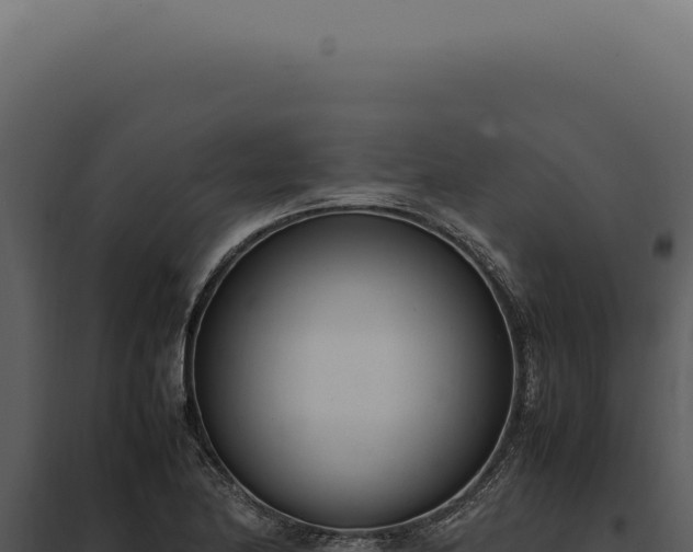 X0000097981174200804011738
