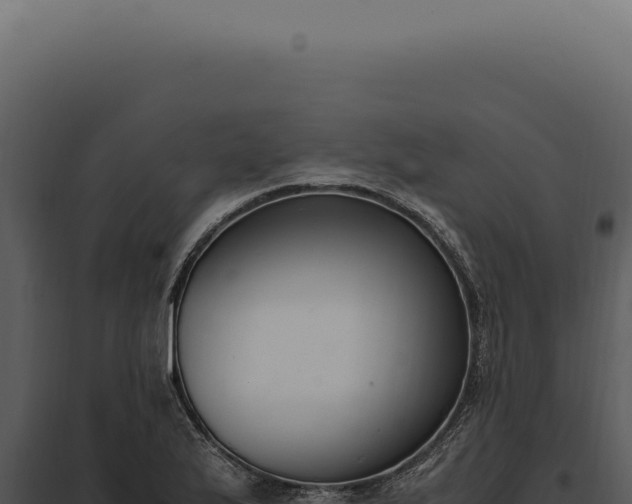 X0000097981175200804011738