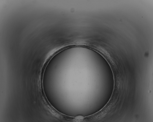 X0000097981176200804011738