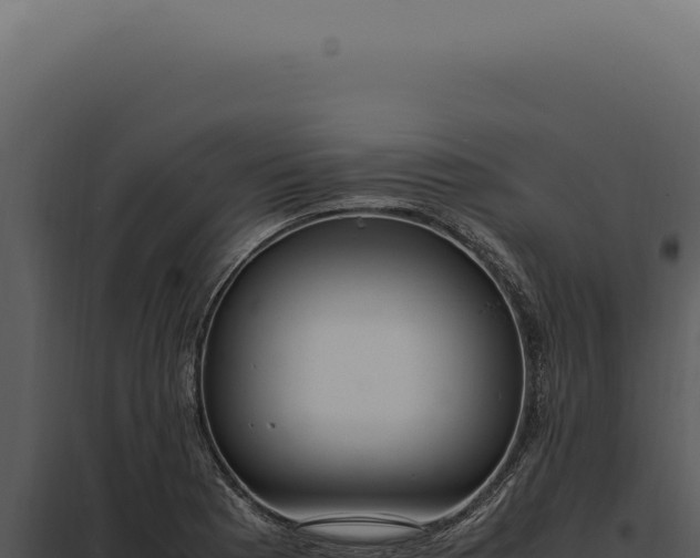 X0000097981177200804011737