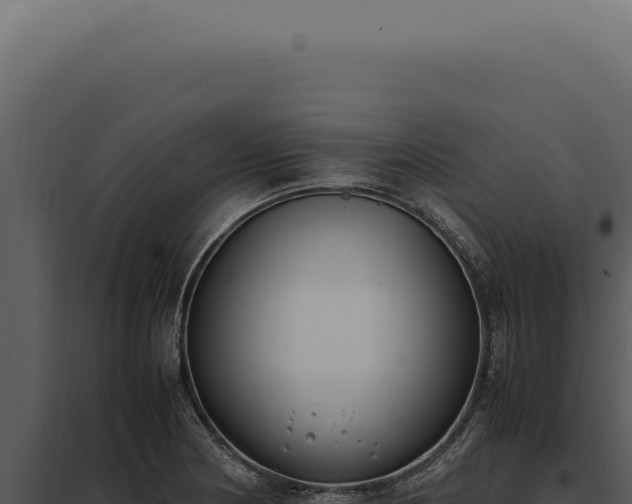 X0000097981178200804011737