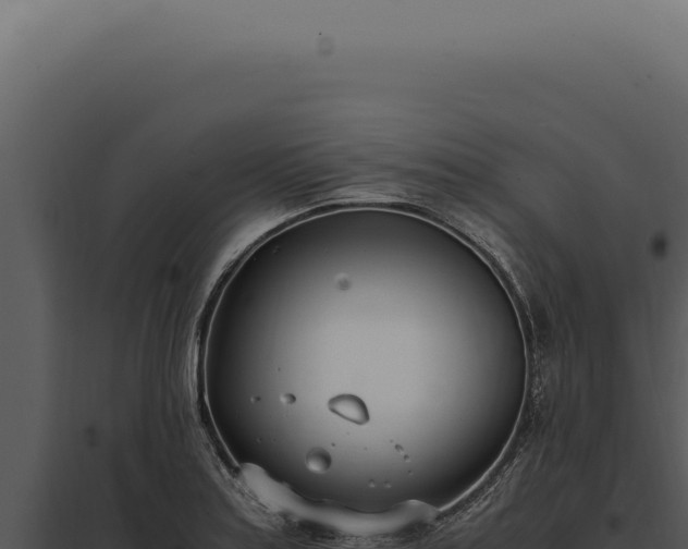 X0000097981179200804011737