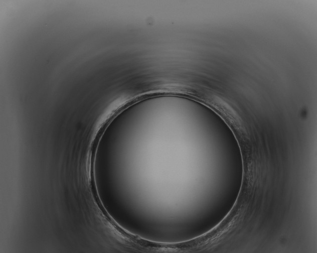 X0000097981180200804011737