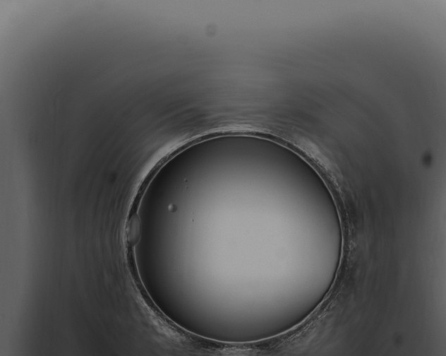 X0000097981181200804011737