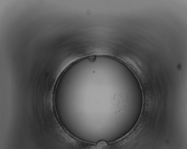X0000097981182200804011737