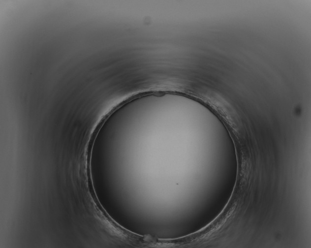 X0000097981184200804011737
