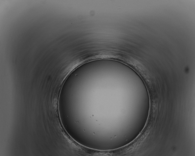 X0000097981185200804011737