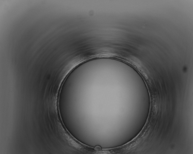 X0000097981186200804011737