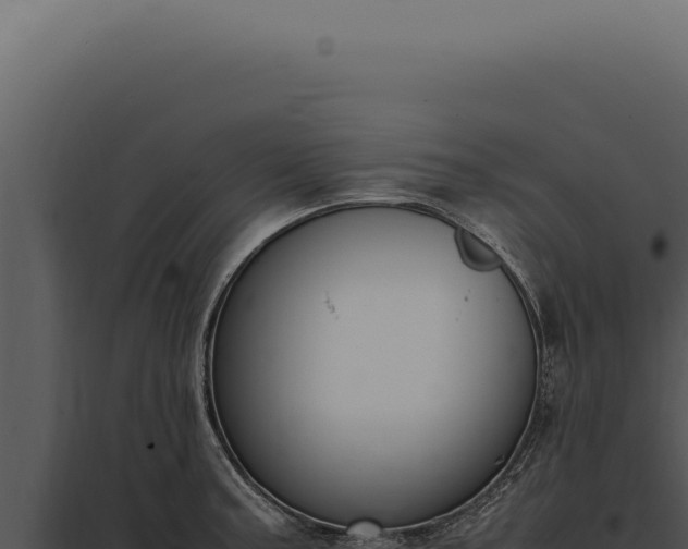X0000097981187200804011737