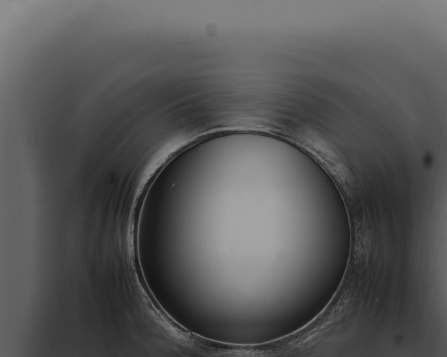 X0000097981188200804011737