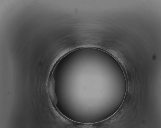 X0000097981189200804011737
