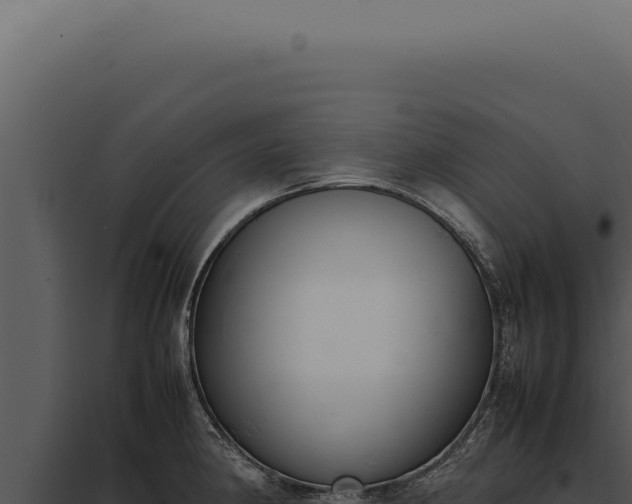 X0000097981190200804011737