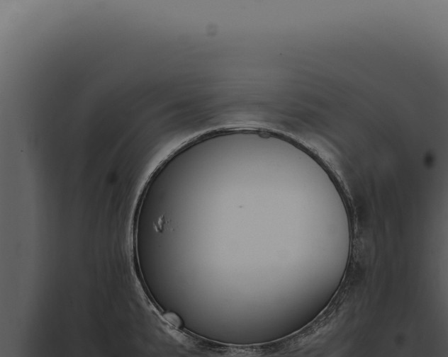 X0000097981191200804011737