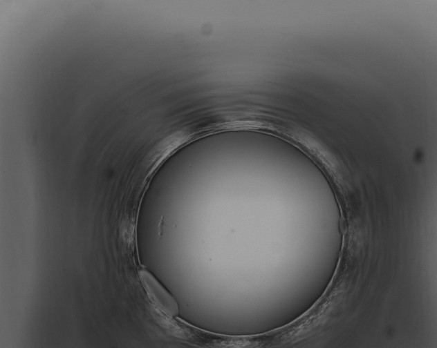 X0000097981193200804011737