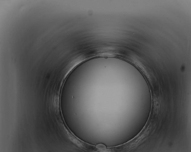 X0000097981194200804011737