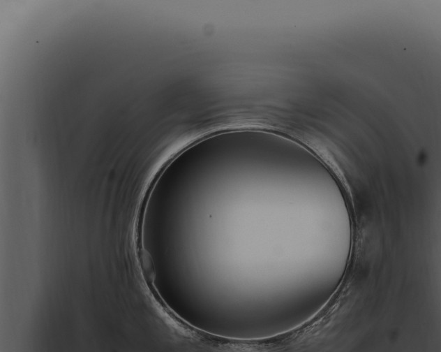 X0000097981197200804011737