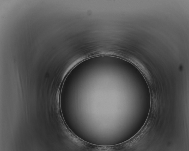 X0000097981198200804011737