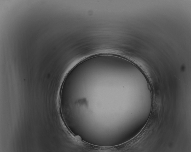 X0000097981199200804011737