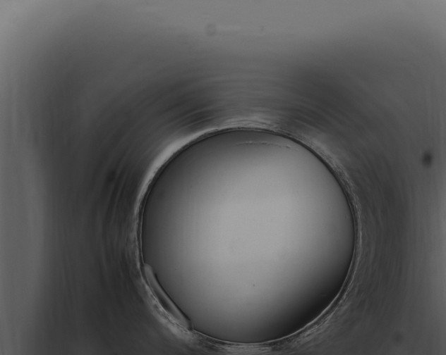 X0000097981200200804011737