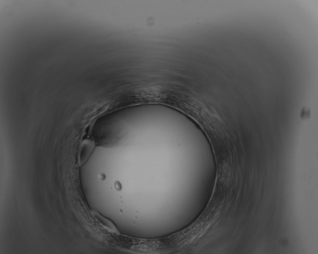 X0000097981201200804011736