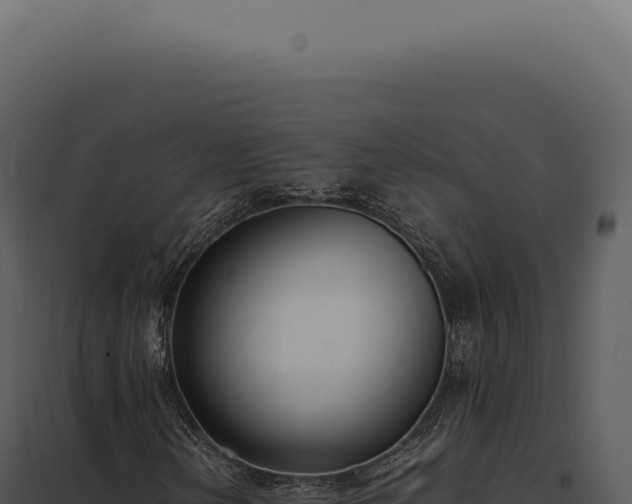 X0000097981202200804011736