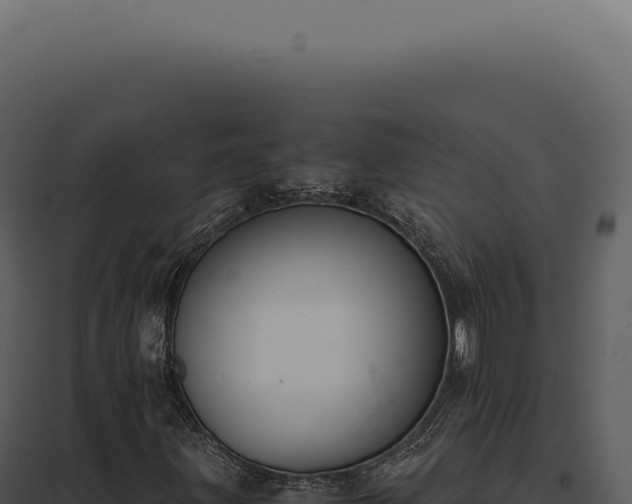 X0000097981203200804011736