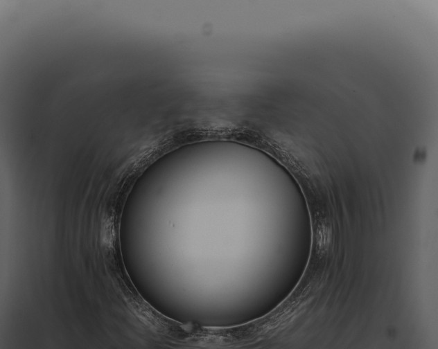 X0000097981204200804011736