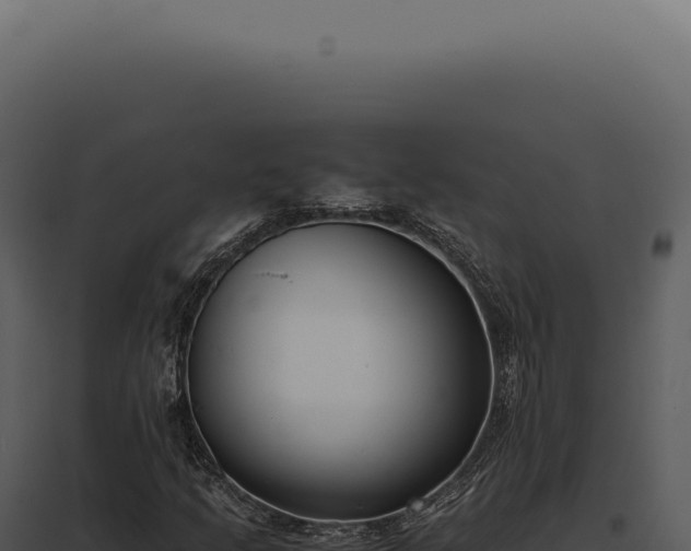 X0000097981205200804011736