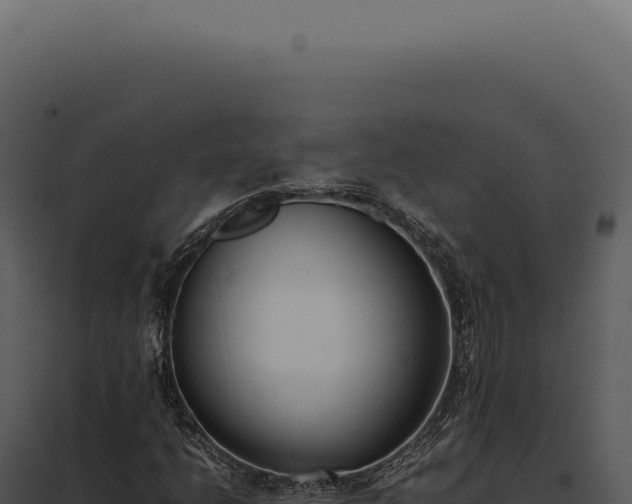 X0000097981206200804011736