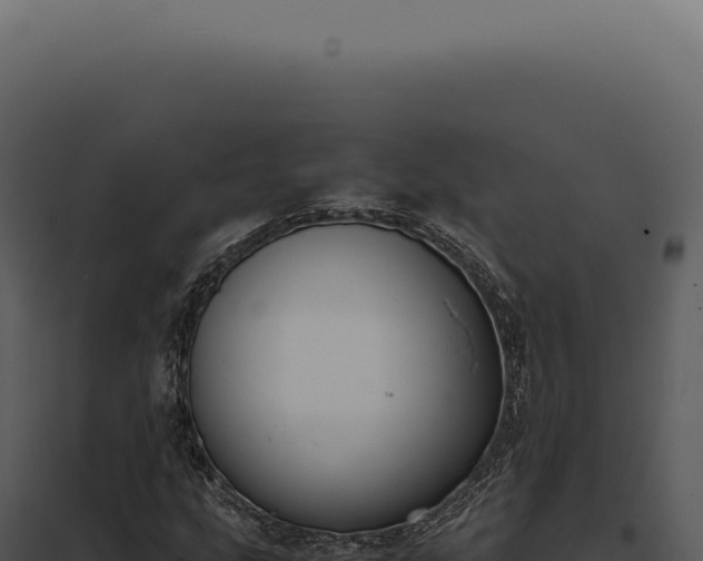 X0000097981207200804011736