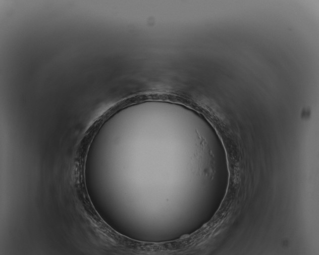 X0000097981208200804011736