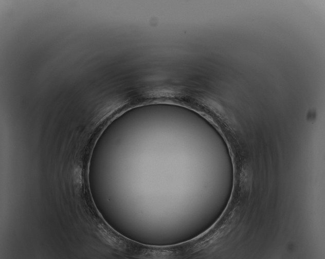 X0000097981209200804011736