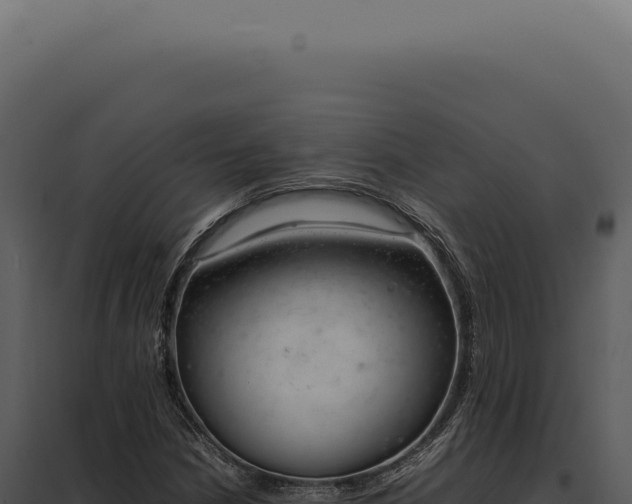 X0000097981210200804011736