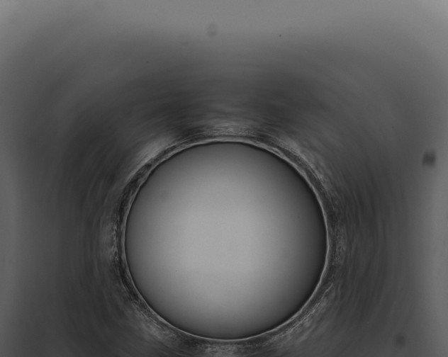 X0000097981211200804011736