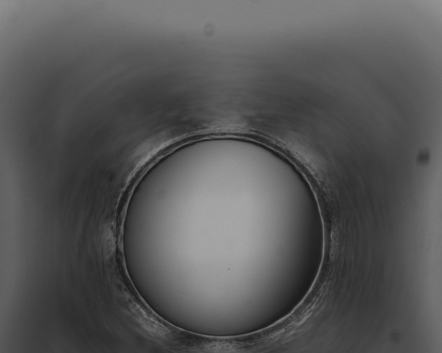 X0000097981212200804011736
