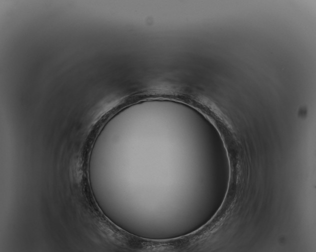 X0000097981213200804011737