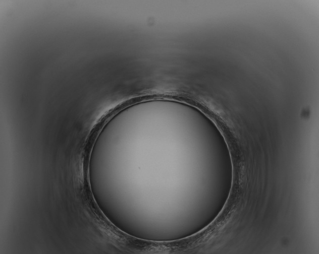 X0000097981214200804011737