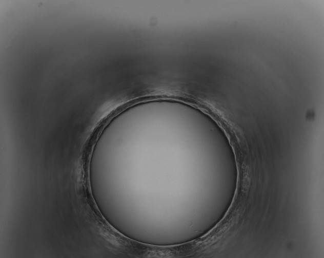 X0000097981215200804011737