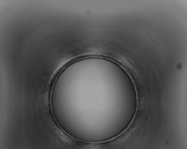 X0000097981216200804011737
