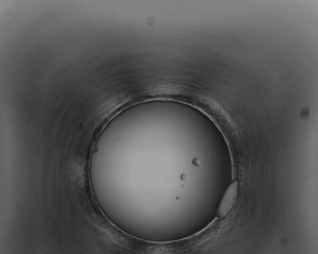 X0000097981217200804011737
