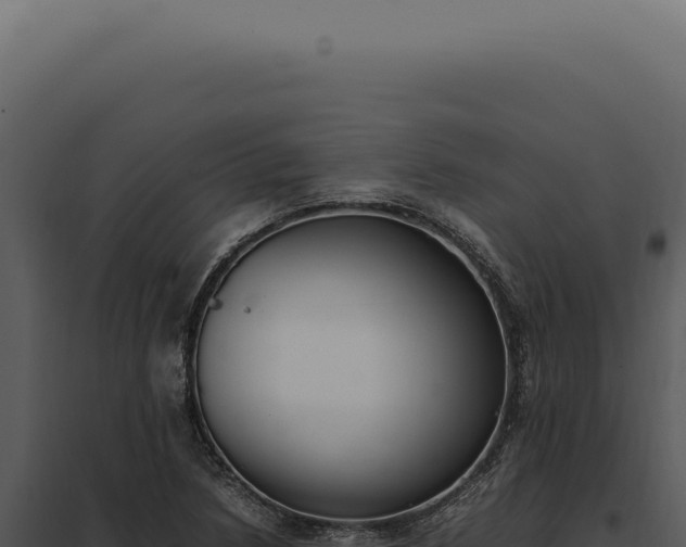 X0000097981218200804011737