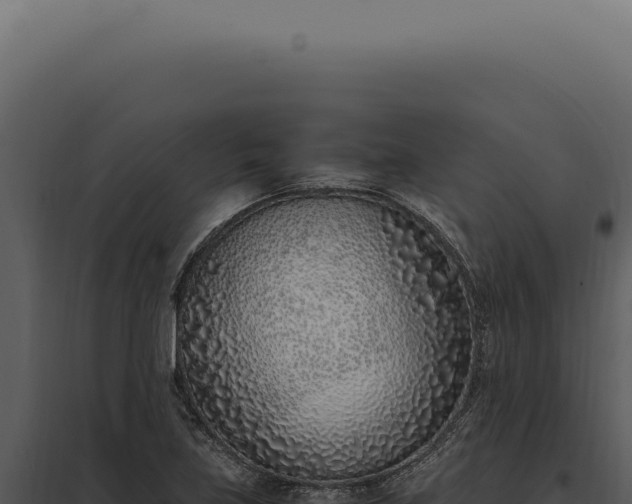 X0000097981219200804011737