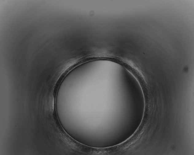 X0000097981221200804011737