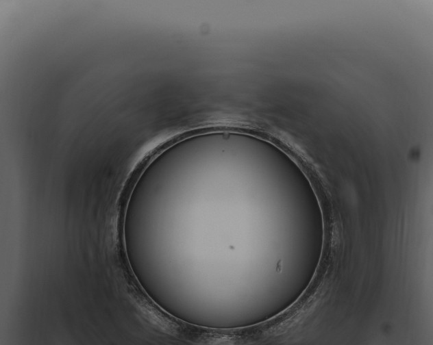 X0000097981222200804011737